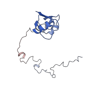 24133_7n2u_LO_v1-2
Elongating 70S ribosome complex in a hybrid-H1 pre-translocation (PRE-H1) conformation