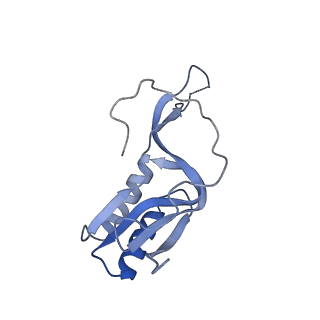 24133_7n2u_LP_v1-2
Elongating 70S ribosome complex in a hybrid-H1 pre-translocation (PRE-H1) conformation