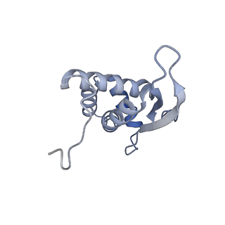 24133_7n2u_LQ_v1-2
Elongating 70S ribosome complex in a hybrid-H1 pre-translocation (PRE-H1) conformation