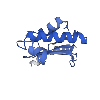 24133_7n2u_LR_v1-2
Elongating 70S ribosome complex in a hybrid-H1 pre-translocation (PRE-H1) conformation