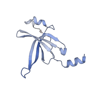 24133_7n2u_LS_v1-2
Elongating 70S ribosome complex in a hybrid-H1 pre-translocation (PRE-H1) conformation