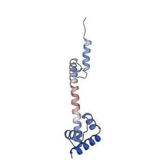 24133_7n2u_LT_v1-2
Elongating 70S ribosome complex in a hybrid-H1 pre-translocation (PRE-H1) conformation