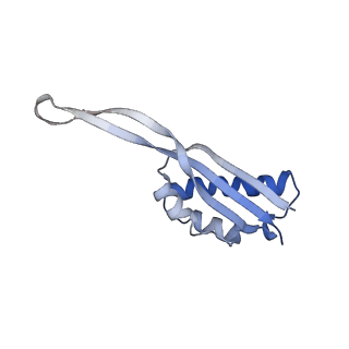 24133_7n2u_LV_v1-2
Elongating 70S ribosome complex in a hybrid-H1 pre-translocation (PRE-H1) conformation