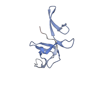 24133_7n2u_LX_v1-2
Elongating 70S ribosome complex in a hybrid-H1 pre-translocation (PRE-H1) conformation