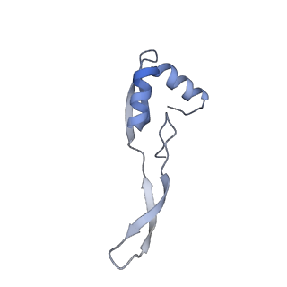 24133_7n2u_Lb_v1-2
Elongating 70S ribosome complex in a hybrid-H1 pre-translocation (PRE-H1) conformation