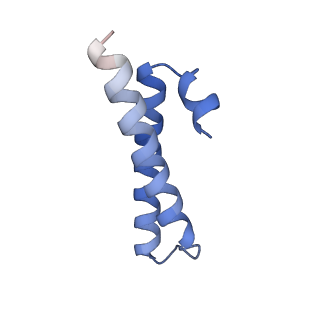 24133_7n2u_Lc_v1-2
Elongating 70S ribosome complex in a hybrid-H1 pre-translocation (PRE-H1) conformation