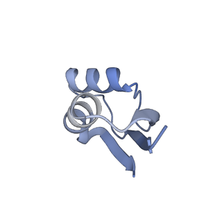 24133_7n2u_Ld_v1-2
Elongating 70S ribosome complex in a hybrid-H1 pre-translocation (PRE-H1) conformation