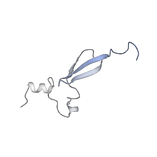 24133_7n2u_Le_v1-2
Elongating 70S ribosome complex in a hybrid-H1 pre-translocation (PRE-H1) conformation