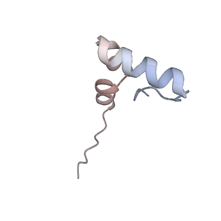 24133_7n2u_Lh_v1-2
Elongating 70S ribosome complex in a hybrid-H1 pre-translocation (PRE-H1) conformation
