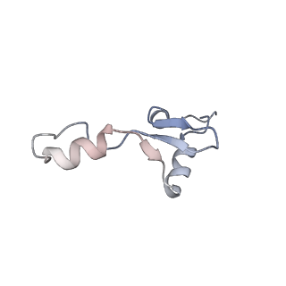 24133_7n2u_Li_v1-2
Elongating 70S ribosome complex in a hybrid-H1 pre-translocation (PRE-H1) conformation