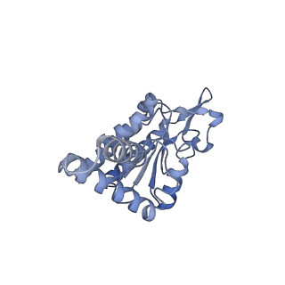 24133_7n2u_SB_v1-2
Elongating 70S ribosome complex in a hybrid-H1 pre-translocation (PRE-H1) conformation