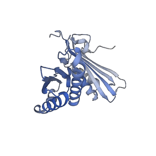 24133_7n2u_SC_v1-2
Elongating 70S ribosome complex in a hybrid-H1 pre-translocation (PRE-H1) conformation