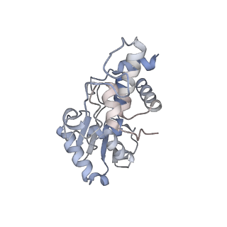 24133_7n2u_SD_v1-2
Elongating 70S ribosome complex in a hybrid-H1 pre-translocation (PRE-H1) conformation
