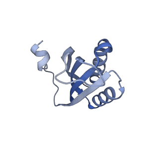 24133_7n2u_SF_v1-2
Elongating 70S ribosome complex in a hybrid-H1 pre-translocation (PRE-H1) conformation