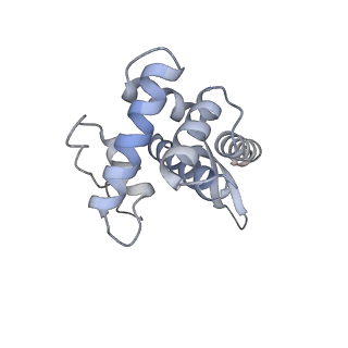 24133_7n2u_SG_v1-2
Elongating 70S ribosome complex in a hybrid-H1 pre-translocation (PRE-H1) conformation