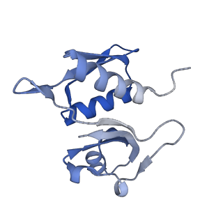 24133_7n2u_SH_v1-2
Elongating 70S ribosome complex in a hybrid-H1 pre-translocation (PRE-H1) conformation
