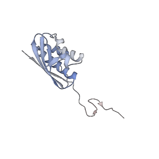 24133_7n2u_SI_v1-2
Elongating 70S ribosome complex in a hybrid-H1 pre-translocation (PRE-H1) conformation