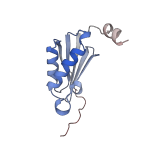 24133_7n2u_SK_v1-2
Elongating 70S ribosome complex in a hybrid-H1 pre-translocation (PRE-H1) conformation