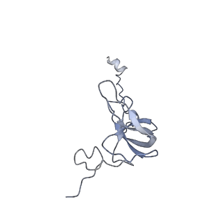 24133_7n2u_SL_v1-2
Elongating 70S ribosome complex in a hybrid-H1 pre-translocation (PRE-H1) conformation