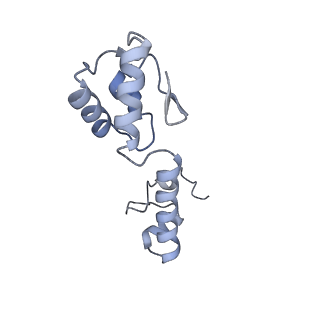 24133_7n2u_SM_v1-2
Elongating 70S ribosome complex in a hybrid-H1 pre-translocation (PRE-H1) conformation