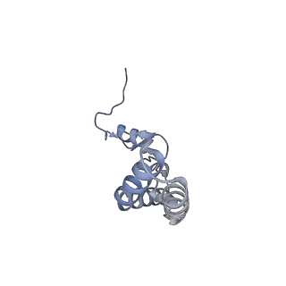 24133_7n2u_SN_v1-2
Elongating 70S ribosome complex in a hybrid-H1 pre-translocation (PRE-H1) conformation