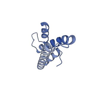 24133_7n2u_SO_v1-2
Elongating 70S ribosome complex in a hybrid-H1 pre-translocation (PRE-H1) conformation