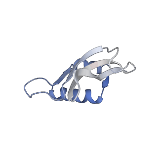 24133_7n2u_SP_v1-2
Elongating 70S ribosome complex in a hybrid-H1 pre-translocation (PRE-H1) conformation