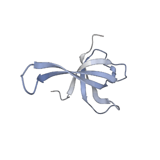 24133_7n2u_SQ_v1-2
Elongating 70S ribosome complex in a hybrid-H1 pre-translocation (PRE-H1) conformation
