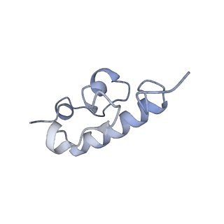 24133_7n2u_SR_v1-2
Elongating 70S ribosome complex in a hybrid-H1 pre-translocation (PRE-H1) conformation