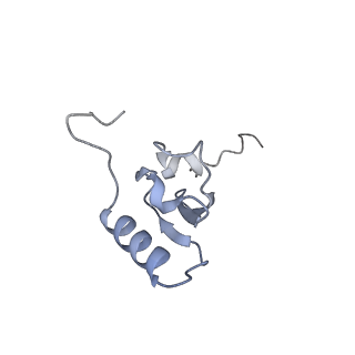 24133_7n2u_SS_v1-2
Elongating 70S ribosome complex in a hybrid-H1 pre-translocation (PRE-H1) conformation
