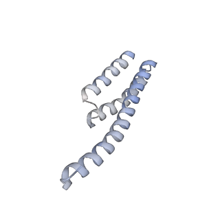 24133_7n2u_ST_v1-2
Elongating 70S ribosome complex in a hybrid-H1 pre-translocation (PRE-H1) conformation