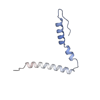 24133_7n2u_SU_v1-2
Elongating 70S ribosome complex in a hybrid-H1 pre-translocation (PRE-H1) conformation