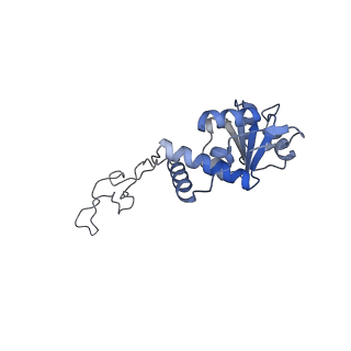 24134_7n2v_LD_v1-2
Elongating 70S ribosome complex in a spectinomycin-stalled intermediate state of translocation bound to EF-G in an active, GTP conformation (INT1)