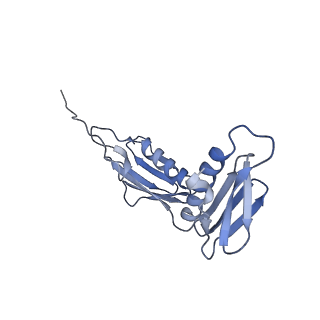 24134_7n2v_LF_v1-2
Elongating 70S ribosome complex in a spectinomycin-stalled intermediate state of translocation bound to EF-G in an active, GTP conformation (INT1)