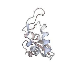 24134_7n2v_LK_v1-2
Elongating 70S ribosome complex in a spectinomycin-stalled intermediate state of translocation bound to EF-G in an active, GTP conformation (INT1)