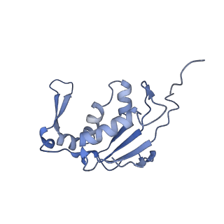 24134_7n2v_LM_v1-2
Elongating 70S ribosome complex in a spectinomycin-stalled intermediate state of translocation bound to EF-G in an active, GTP conformation (INT1)