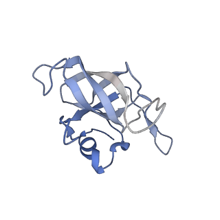 24134_7n2v_LN_v1-2
Elongating 70S ribosome complex in a spectinomycin-stalled intermediate state of translocation bound to EF-G in an active, GTP conformation (INT1)