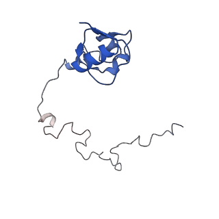 24134_7n2v_LO_v1-2
Elongating 70S ribosome complex in a spectinomycin-stalled intermediate state of translocation bound to EF-G in an active, GTP conformation (INT1)
