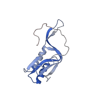 24134_7n2v_LP_v1-2
Elongating 70S ribosome complex in a spectinomycin-stalled intermediate state of translocation bound to EF-G in an active, GTP conformation (INT1)