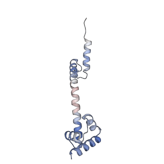 24134_7n2v_LT_v1-2
Elongating 70S ribosome complex in a spectinomycin-stalled intermediate state of translocation bound to EF-G in an active, GTP conformation (INT1)