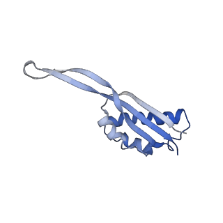 24134_7n2v_LV_v1-2
Elongating 70S ribosome complex in a spectinomycin-stalled intermediate state of translocation bound to EF-G in an active, GTP conformation (INT1)