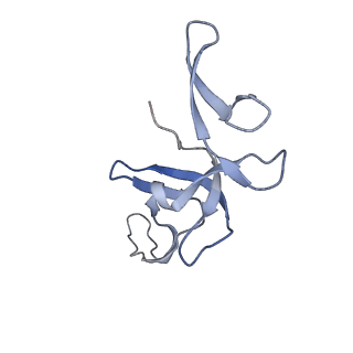 24134_7n2v_LX_v1-2
Elongating 70S ribosome complex in a spectinomycin-stalled intermediate state of translocation bound to EF-G in an active, GTP conformation (INT1)