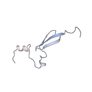 24134_7n2v_Le_v1-2
Elongating 70S ribosome complex in a spectinomycin-stalled intermediate state of translocation bound to EF-G in an active, GTP conformation (INT1)