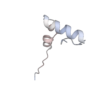 24134_7n2v_Lh_v1-2
Elongating 70S ribosome complex in a spectinomycin-stalled intermediate state of translocation bound to EF-G in an active, GTP conformation (INT1)