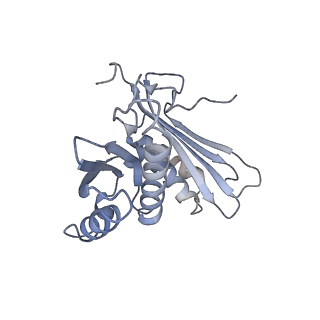 24134_7n2v_SC_v1-2
Elongating 70S ribosome complex in a spectinomycin-stalled intermediate state of translocation bound to EF-G in an active, GTP conformation (INT1)