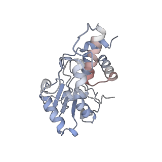 24134_7n2v_SD_v1-2
Elongating 70S ribosome complex in a spectinomycin-stalled intermediate state of translocation bound to EF-G in an active, GTP conformation (INT1)