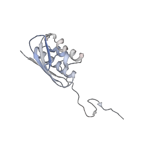 24134_7n2v_SI_v1-2
Elongating 70S ribosome complex in a spectinomycin-stalled intermediate state of translocation bound to EF-G in an active, GTP conformation (INT1)