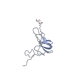 24134_7n2v_SL_v1-2
Elongating 70S ribosome complex in a spectinomycin-stalled intermediate state of translocation bound to EF-G in an active, GTP conformation (INT1)