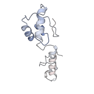 24134_7n2v_SM_v1-2
Elongating 70S ribosome complex in a spectinomycin-stalled intermediate state of translocation bound to EF-G in an active, GTP conformation (INT1)