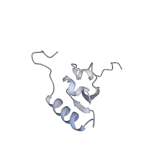 24134_7n2v_SS_v1-2
Elongating 70S ribosome complex in a spectinomycin-stalled intermediate state of translocation bound to EF-G in an active, GTP conformation (INT1)